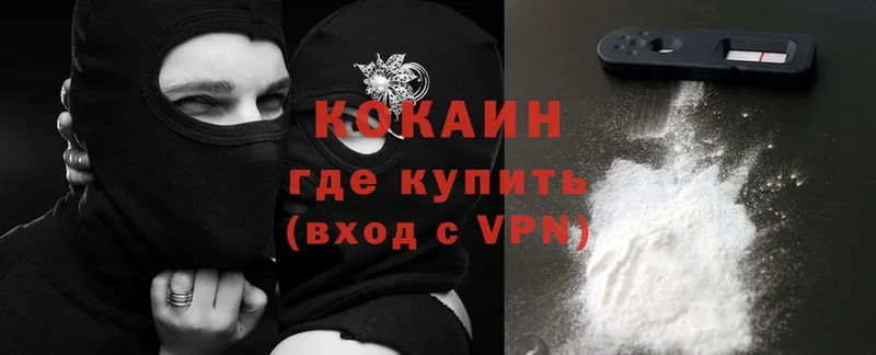 купить закладку  Богородицк  COCAIN 99% 